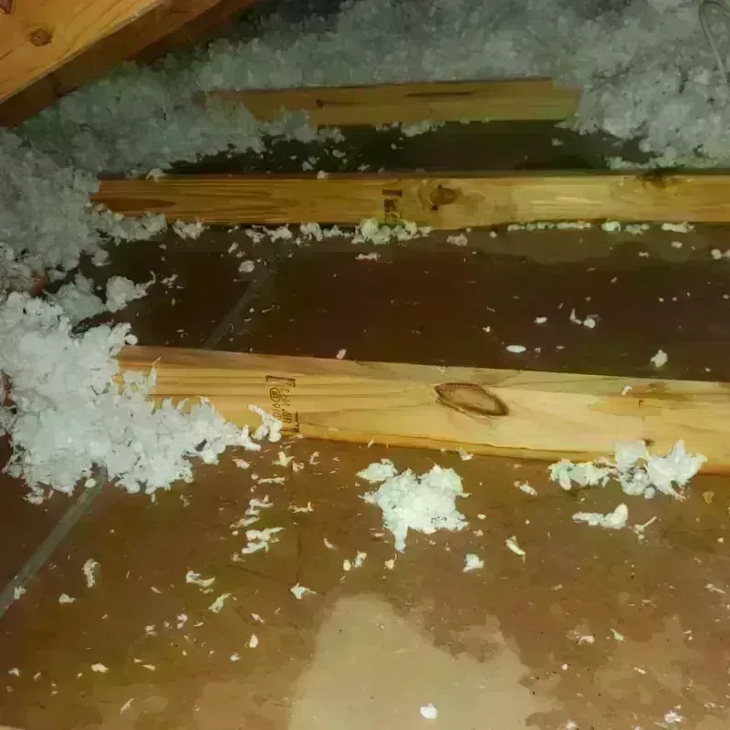 Attic Water Damage in Wapello County, IA